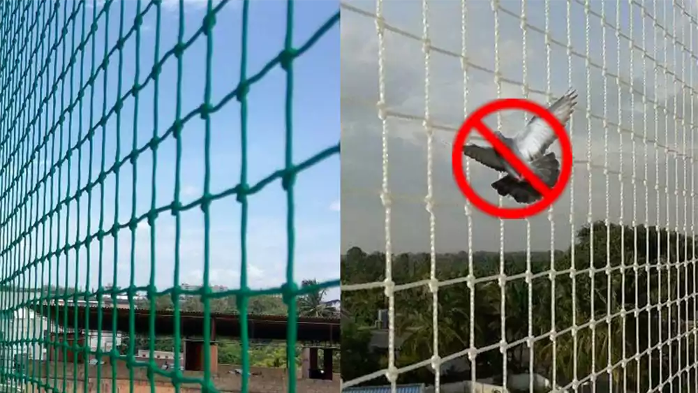  Pigeon Nets Installation 